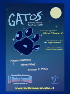 afiche GATOS